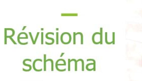 Visuel "Révision du Schéma" Visuel "Révision du Schéma"